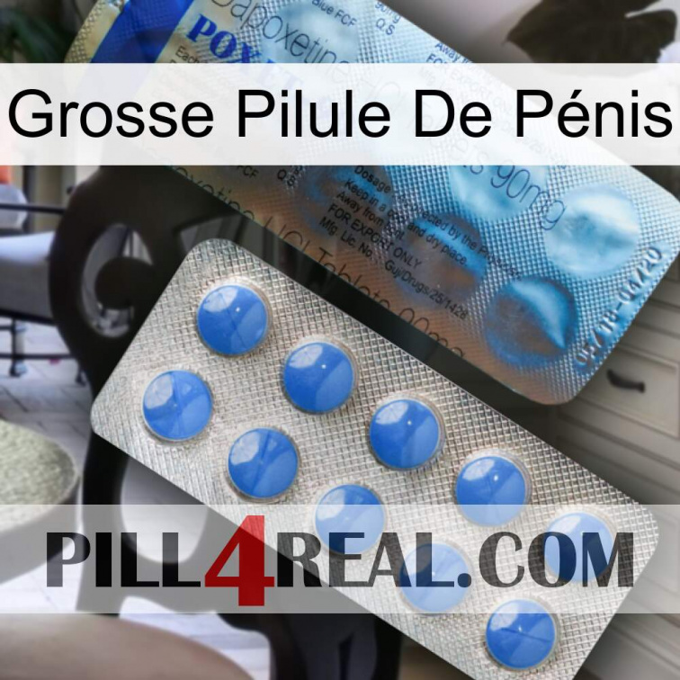 Grosse Pilule De Pénis 40